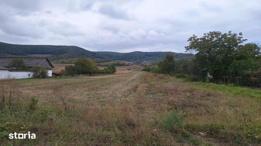 Teren Intravilan parcelabil in Arcalia 2000 euro ar - 3