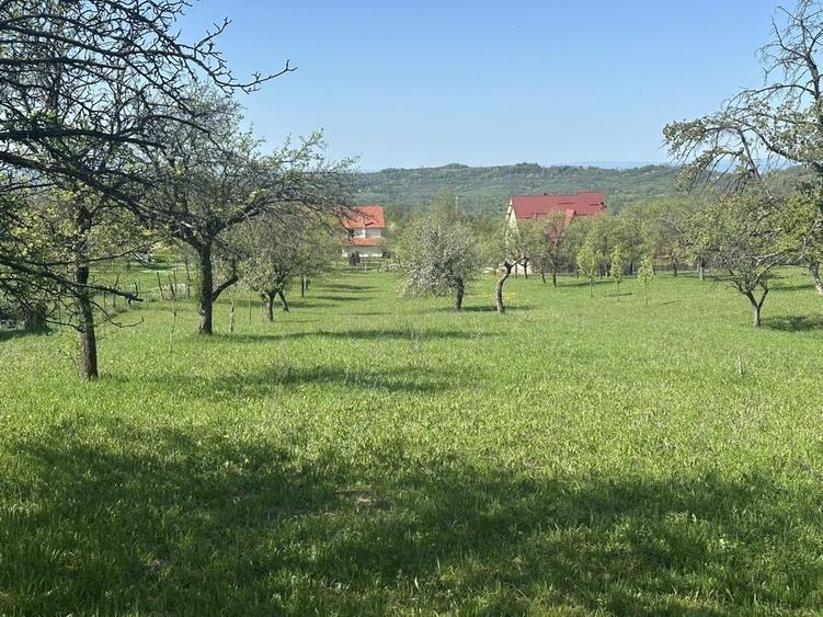 Spațiu comercial, în Baia Sprie