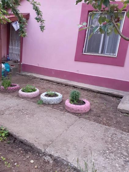 Casă cu 2 camere cu Teren 2930 Mp în Valea Stanciului