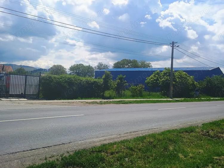 Teren de 4400 mp, în Cărpiniș