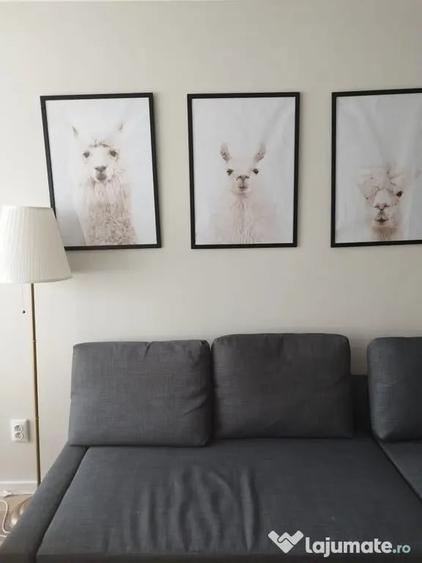 2 camere | Stefan cel Mare | Lizeanu | designer - 8