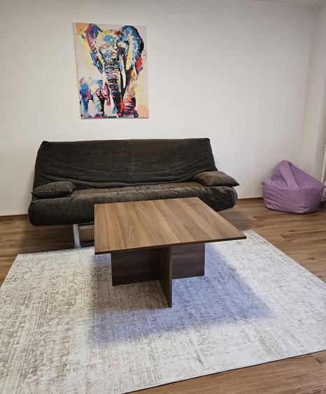 Apartament cu 2 camere decomandat în Basarabia