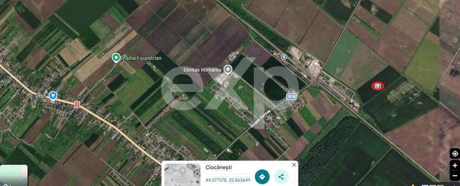 Teren agricol intravilan de 71300 mp, în Ciocănești