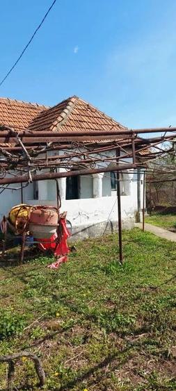 Casă cu Teren 1031 Mp în Drăguțești