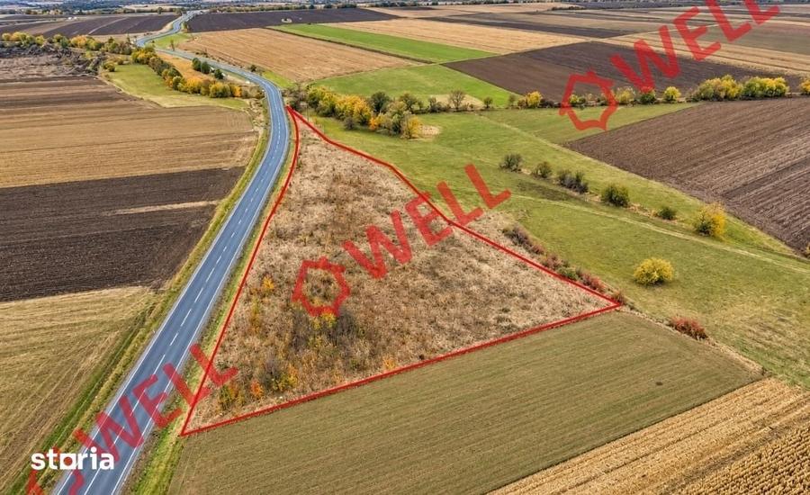 Teren de 11300 mp, în Valea Crișului