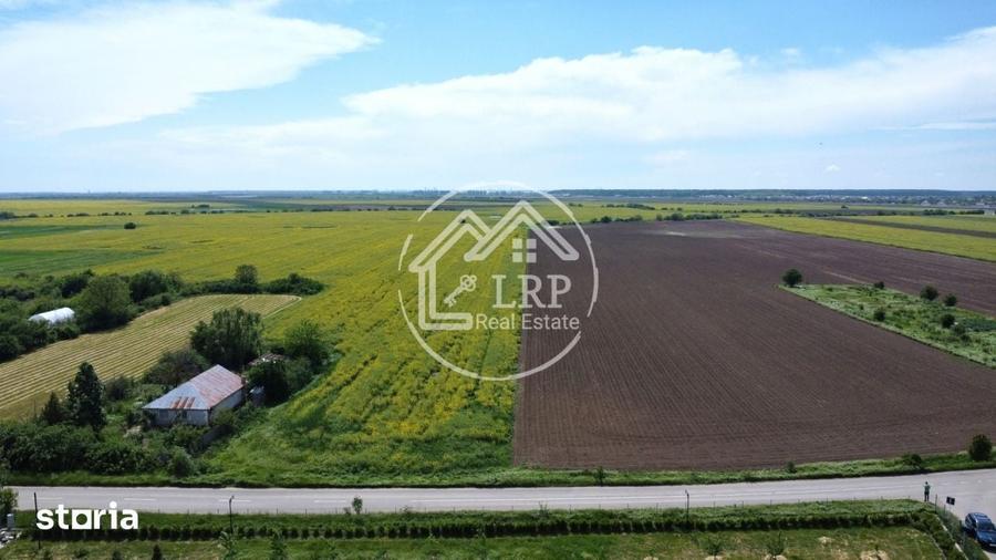 Teren de 15500 mp, în Dascălu