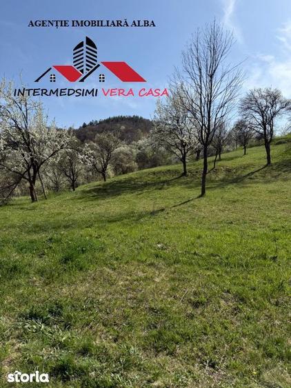 Teren de 13698 mp, în Vințu de Jos