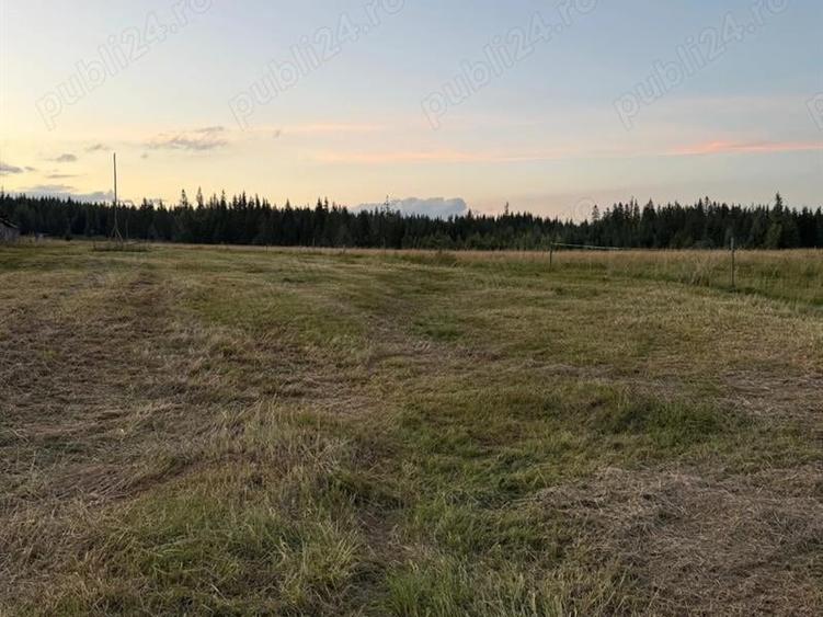 Teren Construcții intravilan de 4800 mp, în Poiana Stampei