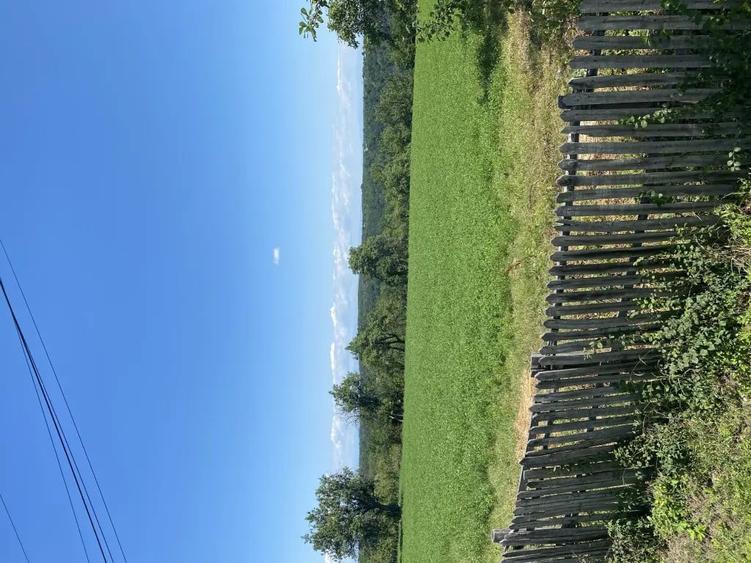 Teren de 16600 mp, în Cocu