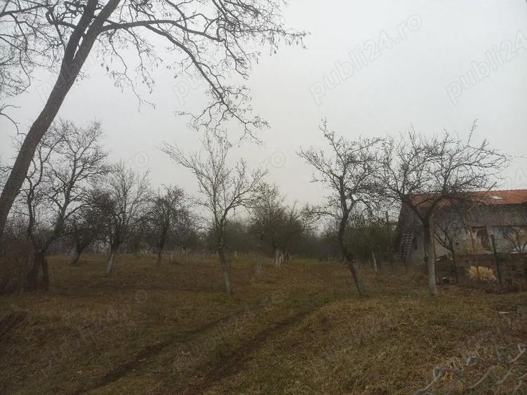 Teren de 2600 mp, în Fedeleșoiu