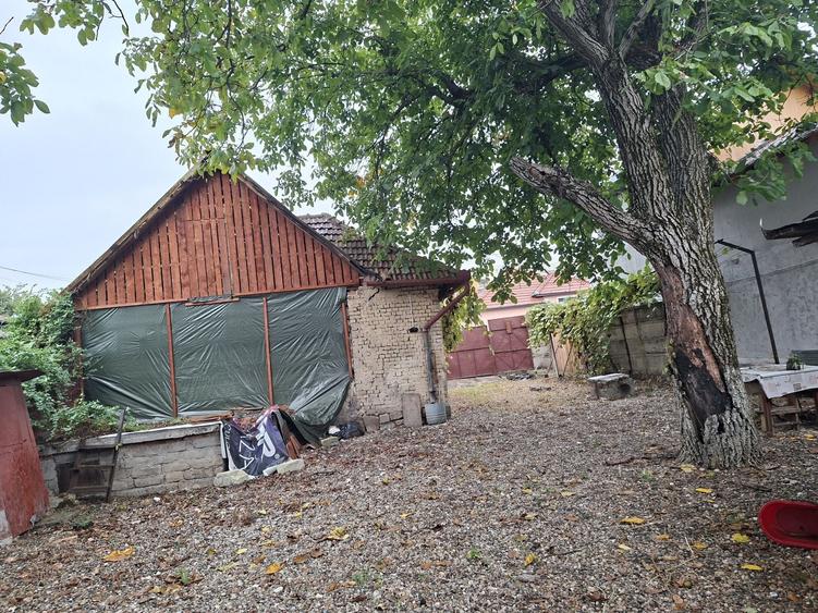 Casă cu 2 camere în Victor Babeș
