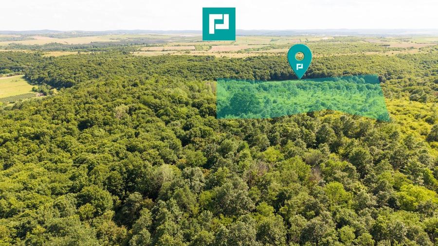Teren agricol extravilan de 22900 mp, în Exterior Sud