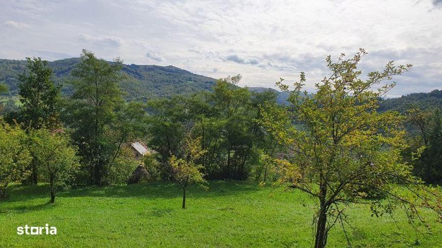 Teren de 2200 mp, în Sălciua