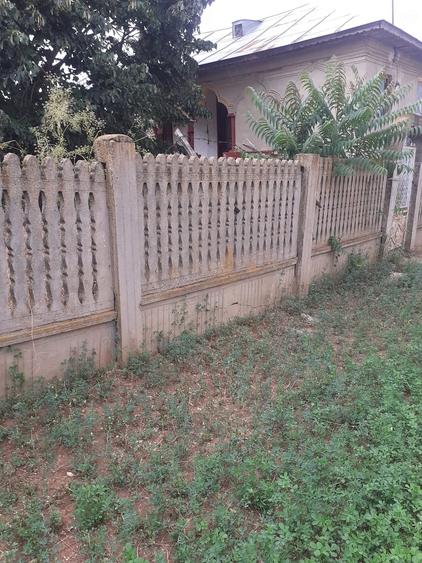 Casă cu Teren 2300 Mp în Calopăr