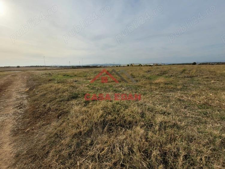 Teren intravilan in Baicoi zona targului--10.000mp--5e - 7