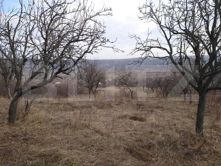 Teren Construcții intravilan de 6312 mp, în Dobrovăț