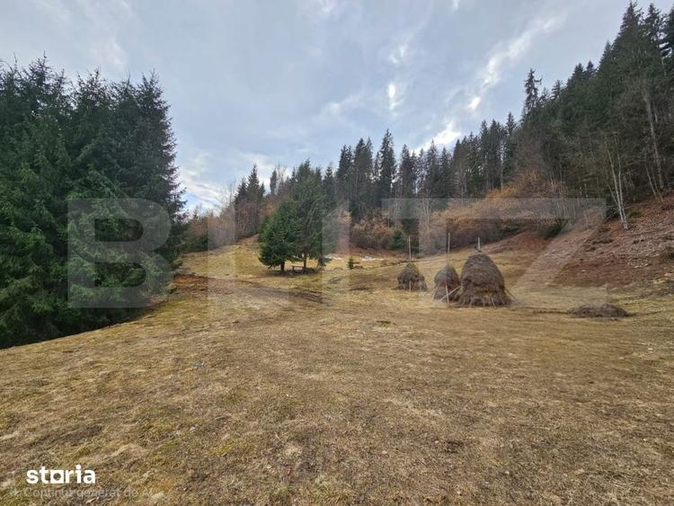 Teren de 11480 mp, în Scărișoara