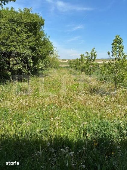 Casă cu 3 camere cu Teren 584 Mp în Central