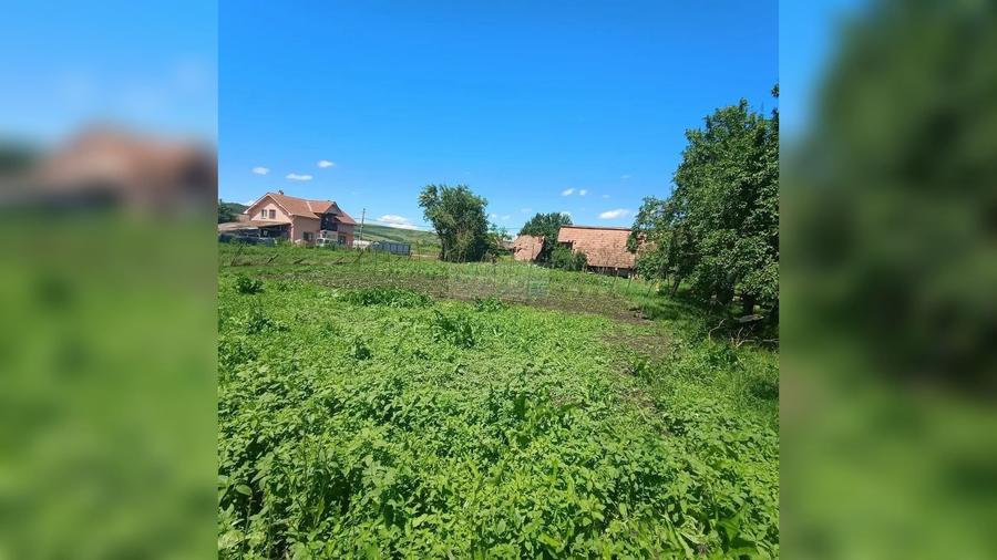 Teren intravilan de 1557 mp, în Jucu de Sus