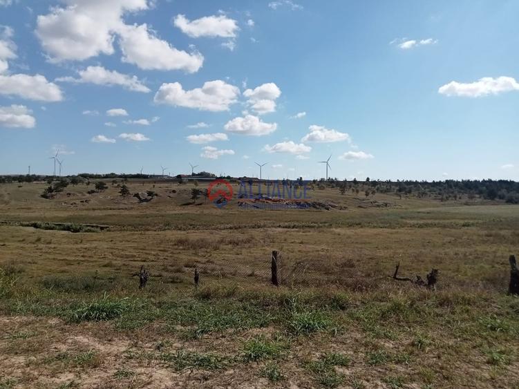 Teren intravilan de 4000 mp, în Grădina