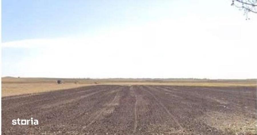 Teren de 16700 mp, în Amaru