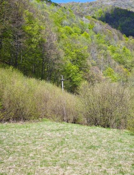 Vând teren intravilan Tarnița - Risca - Mărișel  jud. Cluj - 4