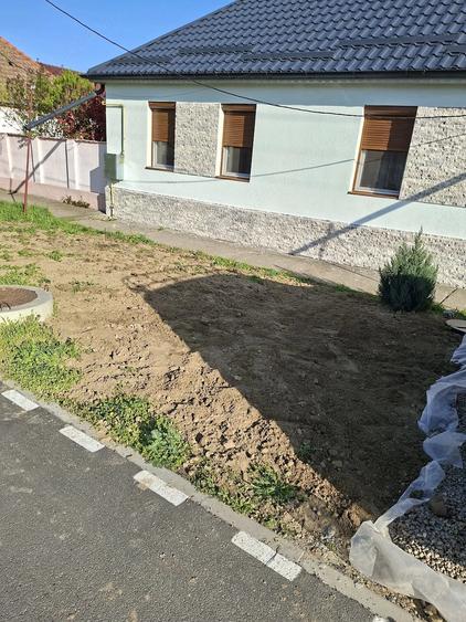 Casă cu 4 camere cu Teren 700 Mp în Peciu Nou