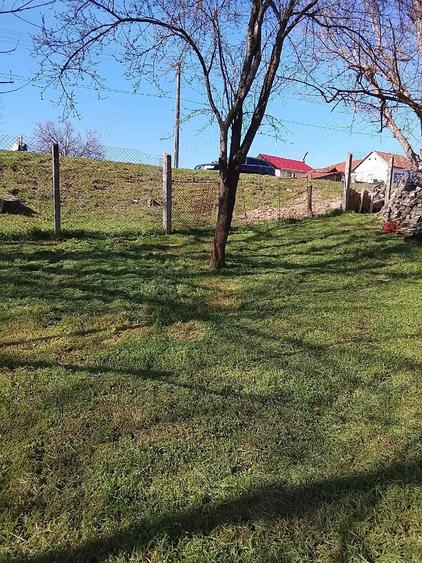 Teren de 1745 mp, în Voivodeni
