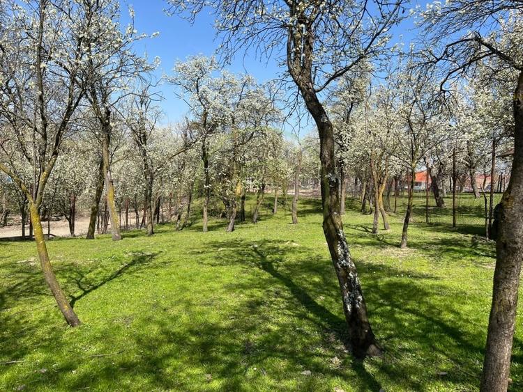 Teren agricol intravilan de 789 mp, în Exterior Vest