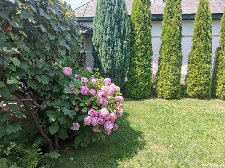 Casă cu 2 camere cu Teren 75 Mp în Central