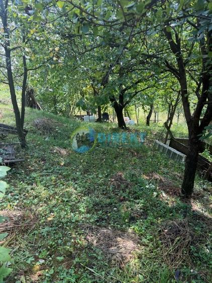 Teren intravilan de 1168 mp, în Nord-Est