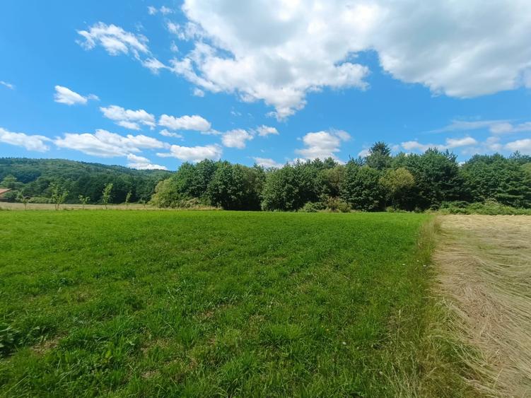 Teren extravilan de 3291 mp, în Vulcan