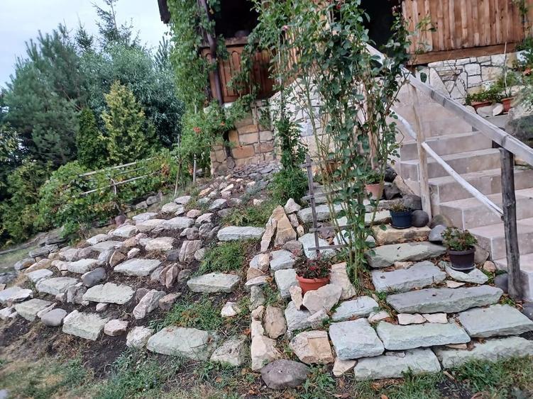 Casă cu Teren 8000 Mp în Bonț