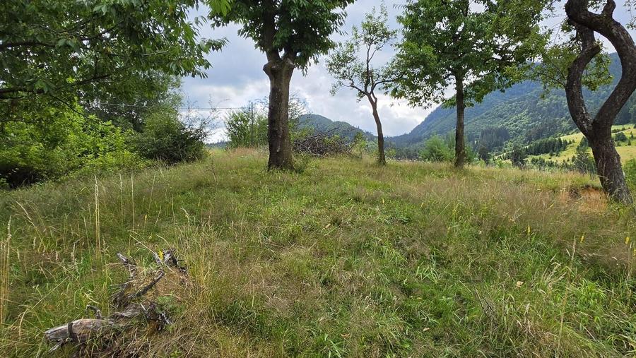 Teren Construcții intravilan de 850 mp, în Turcheș