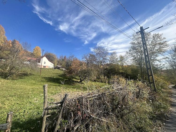 Teren de 1200 mp, în Provița de Sus