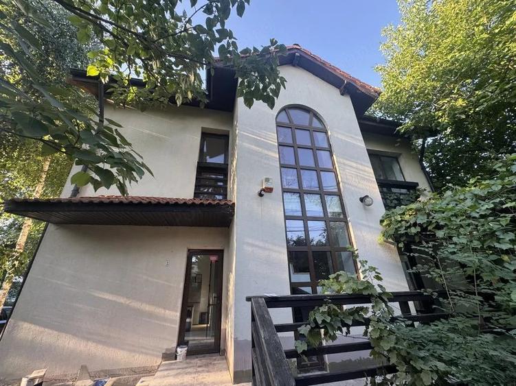 Inchiriere vila pentru birouri - 7