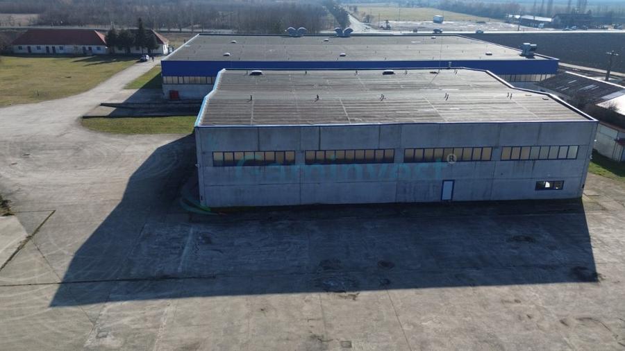 Spațiu industrial, de 6,227 mp, în Homorog