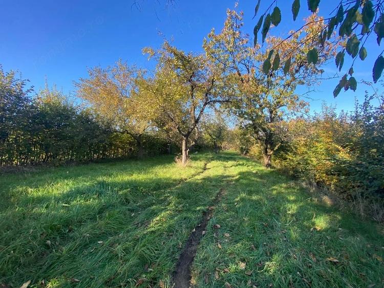 Teren extravilan 3200mp zona Tropinii Vechi - 1