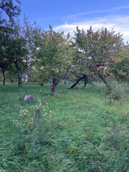 Casă cu 3 camere în Moldovenești