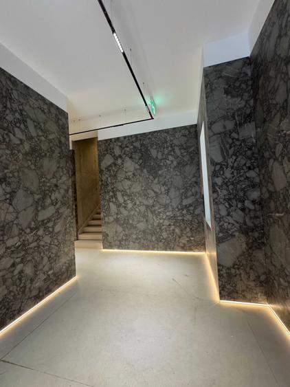 Apartament cu 2 camere decomandat în Dosu Bricii