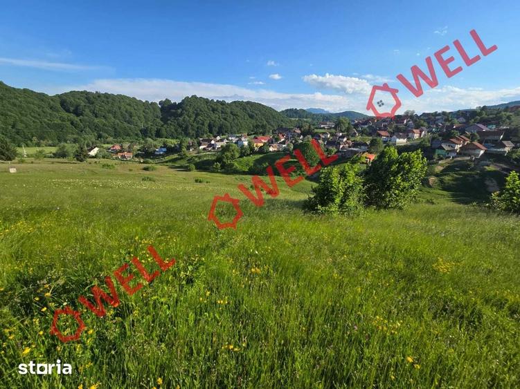 Teren de 8163 mp, în Vama Buzăului
