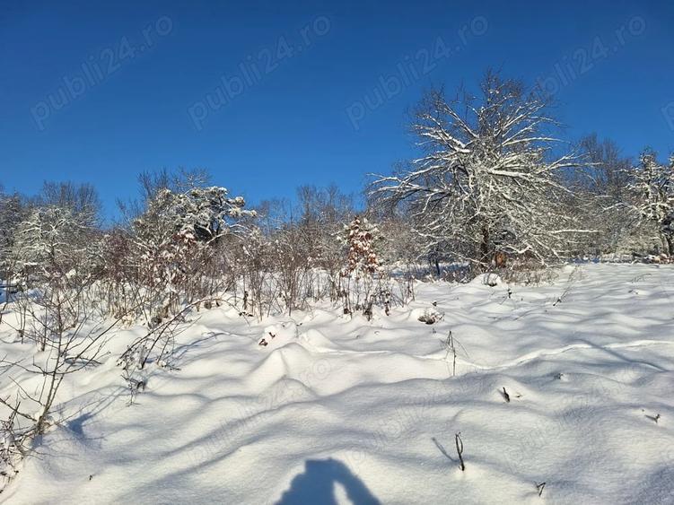 Teren de 2880 mp, în Mustești