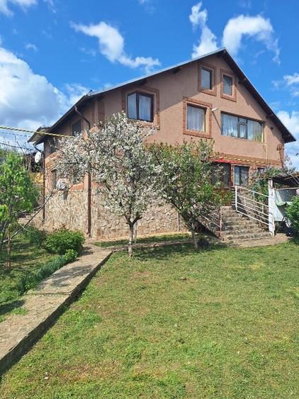 Casă individuală cu 9 camere cu Canalizare în Central