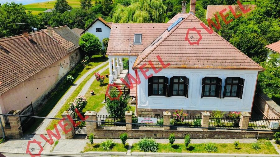 Casă cu 6 camere cu Teren 5000 Mp în Bățanii Mici