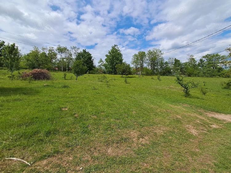 Teren de 2800 mp, în Periferie