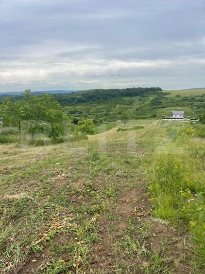 Teren Construcții intravilan de 500 mp, în Valea Ursului