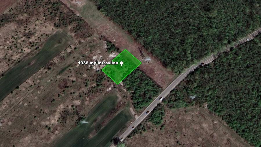 Teren intravilan 1.936 mp, lângă pădure – Săbăreni, Giurgiu, langa DN7 - 2