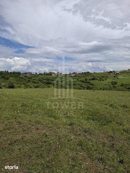 Teren de 11500 mp, în Roșia