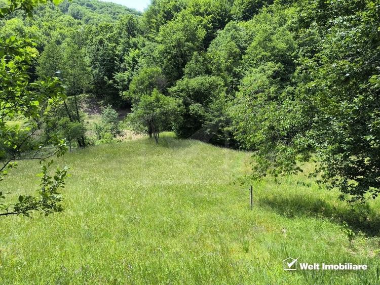 Teren agricol extravilan de 1423 mp, în Huta