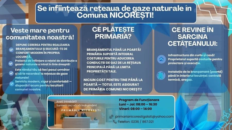 Teren de 16600 mp, în Nicorești